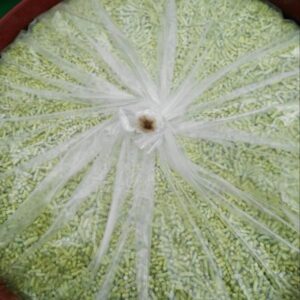 Alternative view of Potassium Amyl Xanthate 90% (PAX 90%)